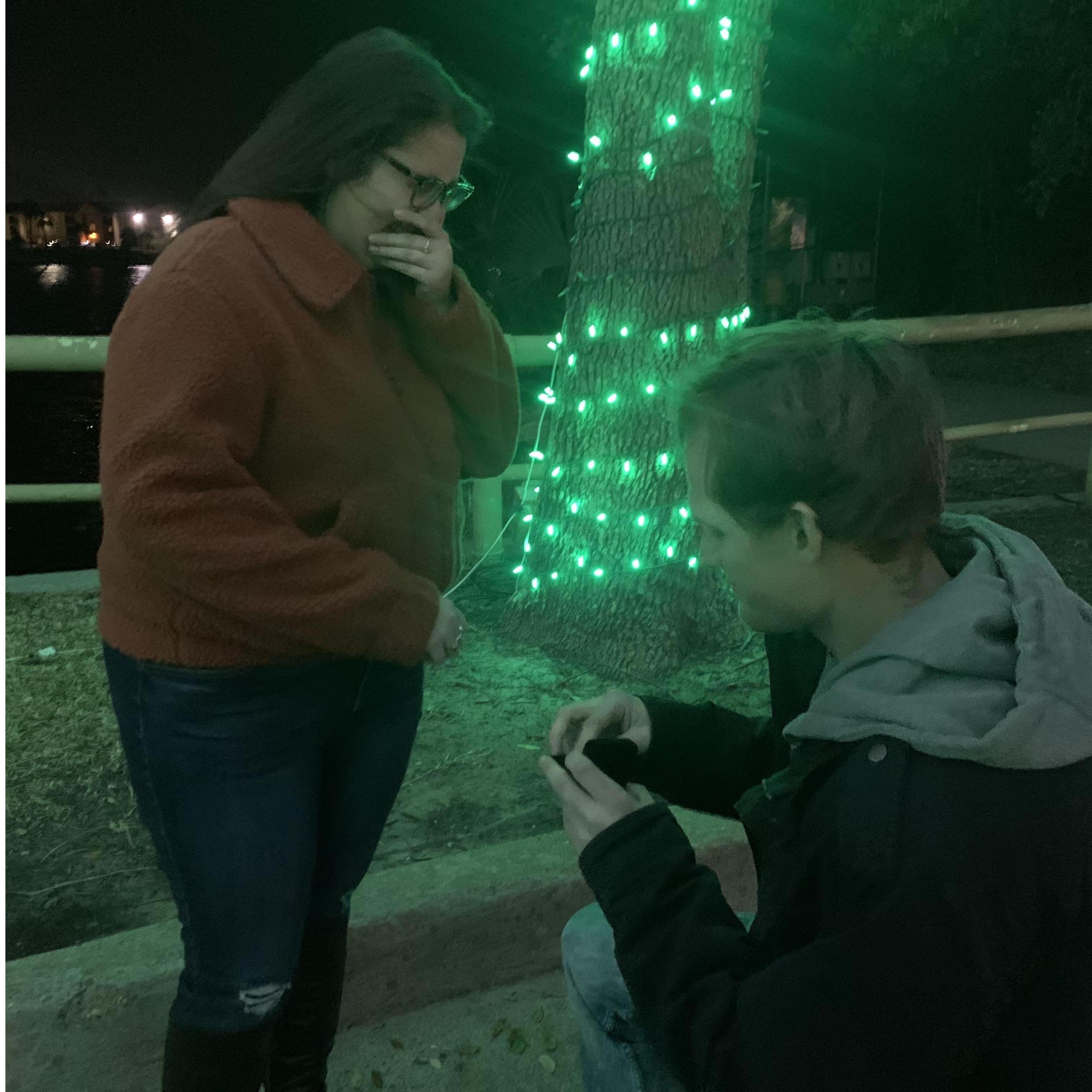 "Will you Marry Me?"