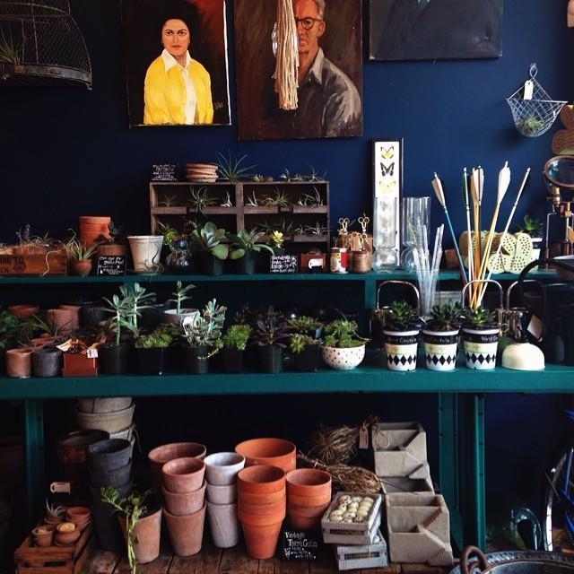 June 23rd, 2014:
While exploring Royal Oak together, Samantha took this shot in a local shop. 📸