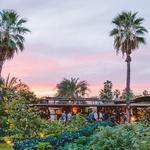Flora Farms