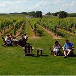 Long Island Wineries