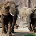 Milwaukee County Zoo