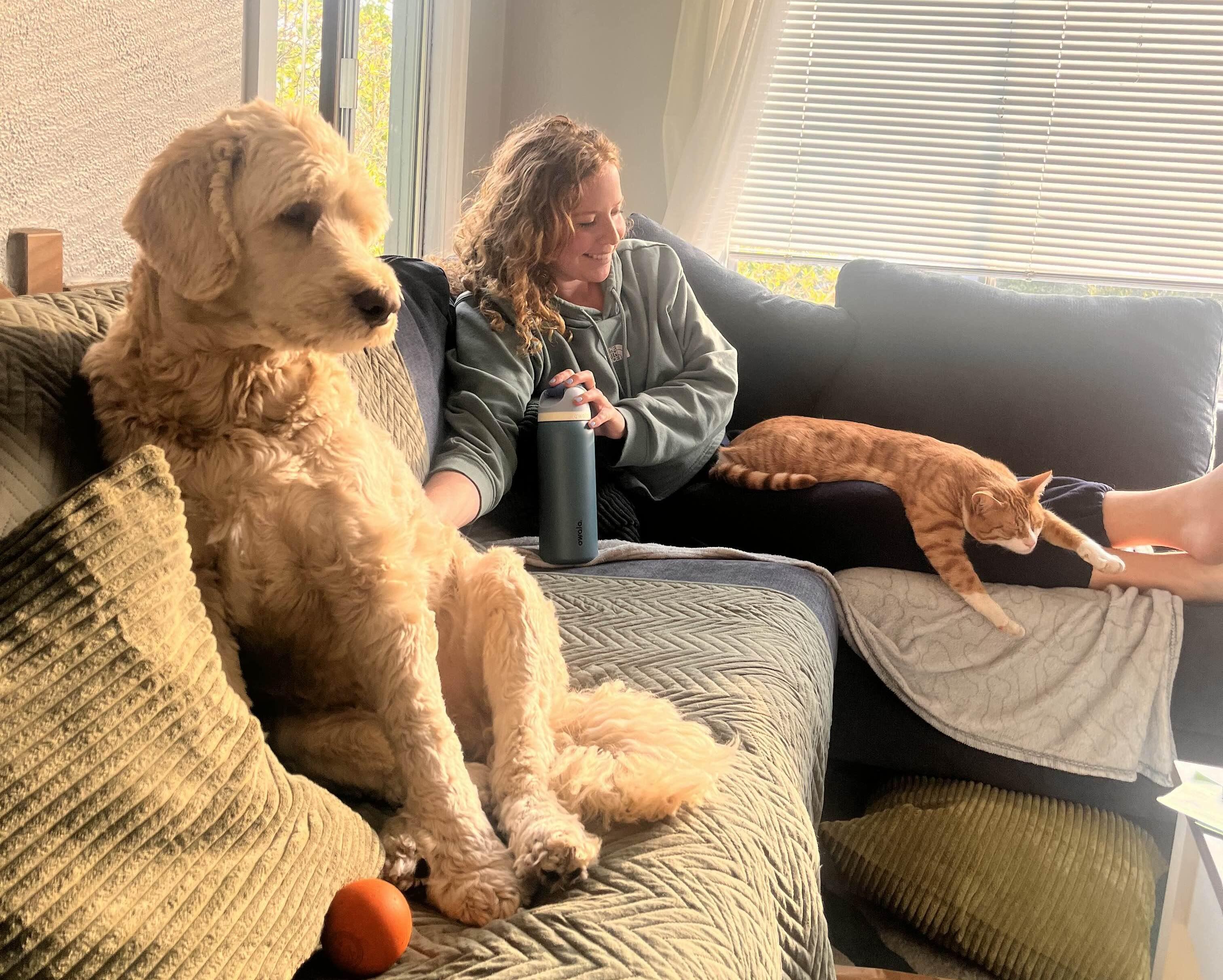 The Wedding Website of Williston Mortenson and Rachel Eisenstat