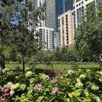 Lakeshore East Park
