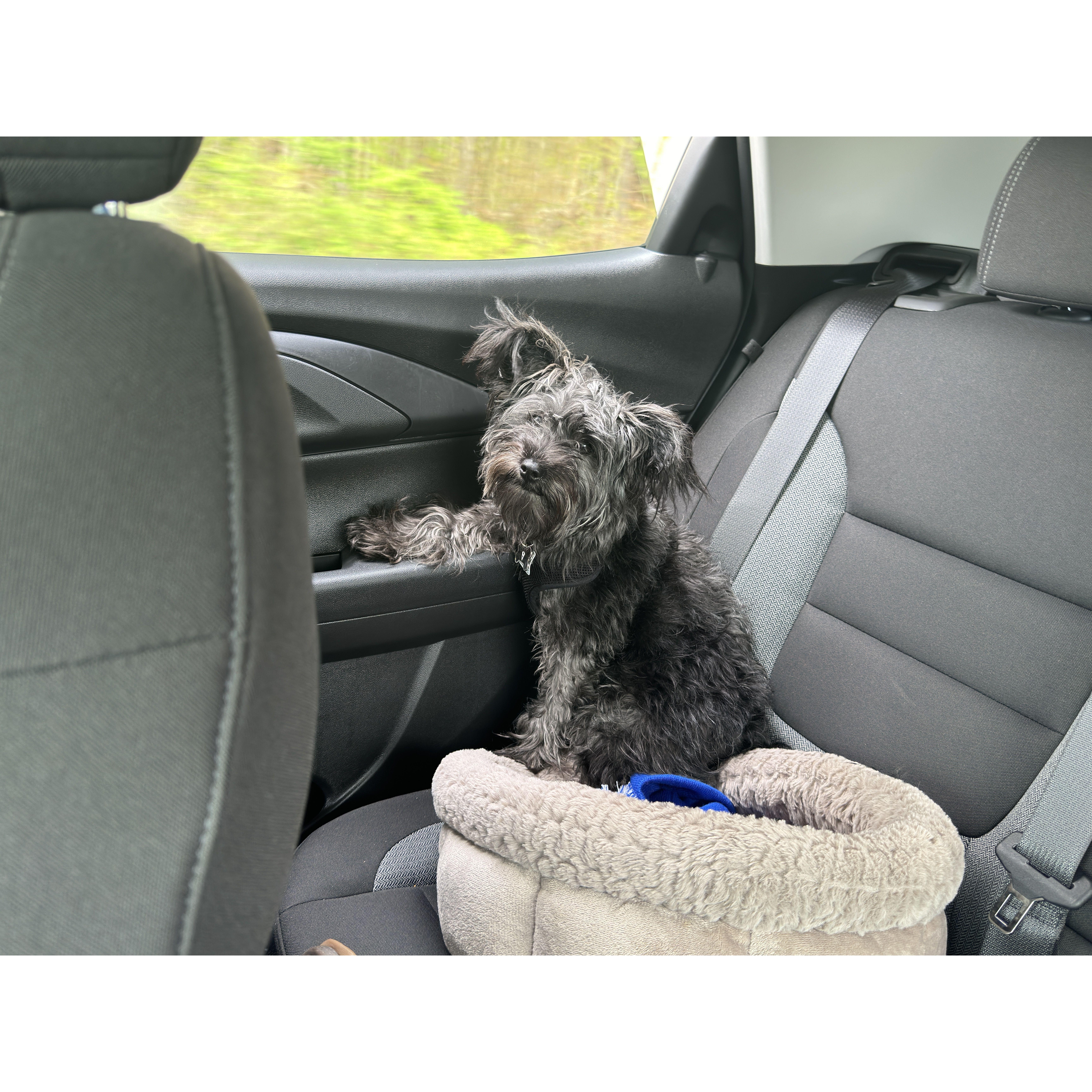 Sebi on a road trip!!