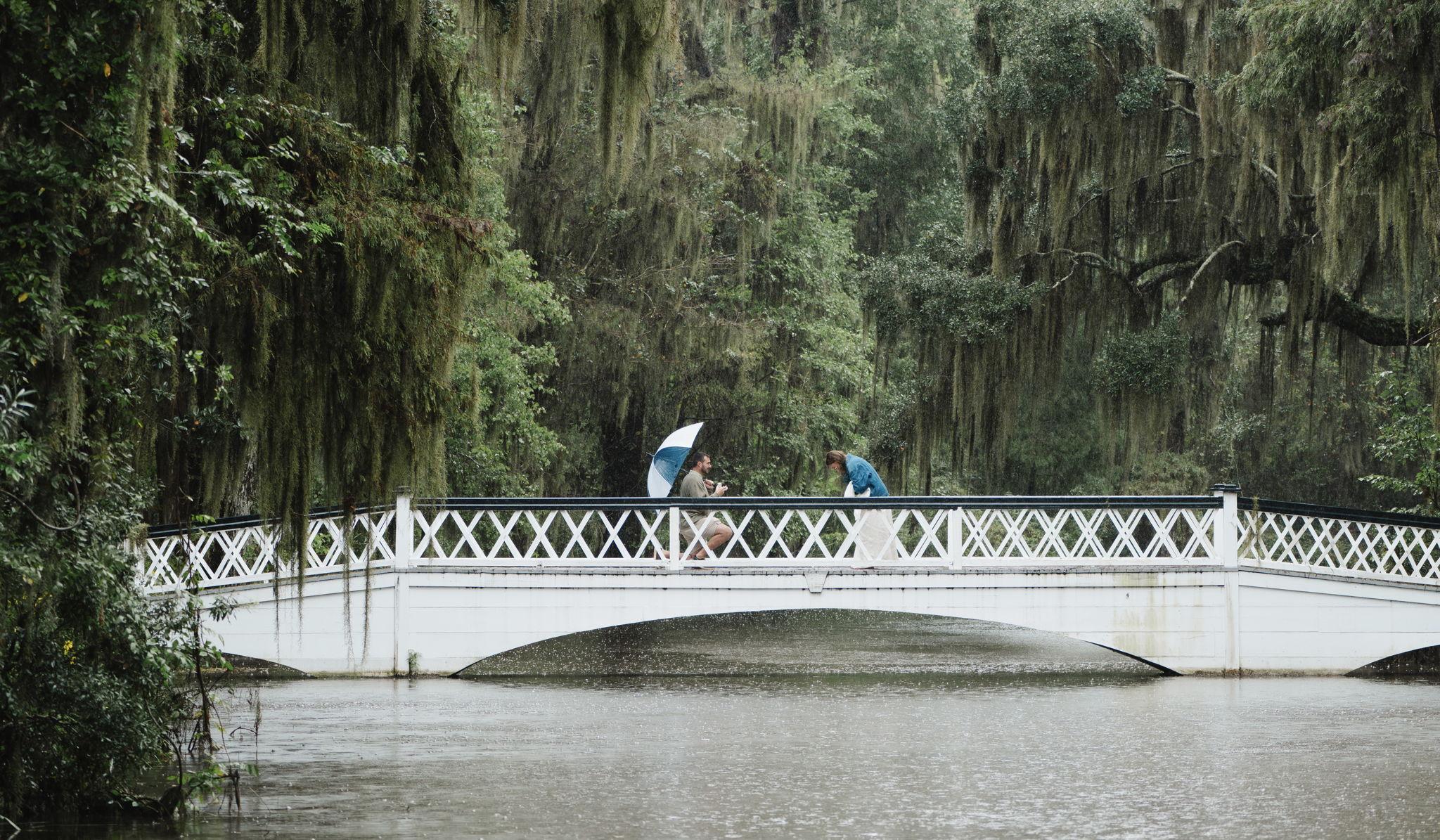 Hero Slideshow Image 0