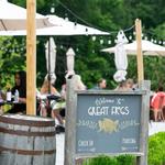 Great Frogs Winery