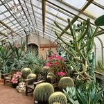 Highland Park Conservancy