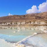 Swim in the Dead Sea