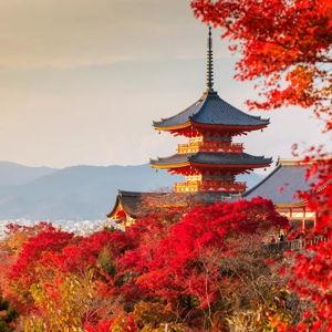 Japan Honeymoon Fund