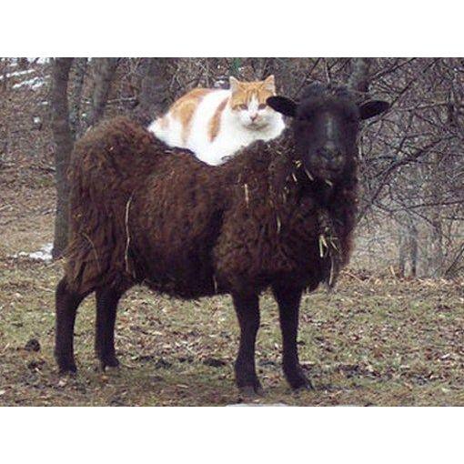 Friends at last