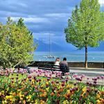 Spend an afternoon by the lake in Lausanne, Port Ouchy