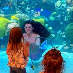 The Aquarium at Silverton Casino