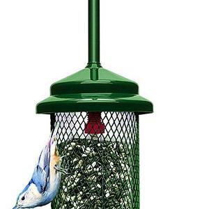 Squirrel Buster Standard 5"x5"x21.5" (w/hanger) Wild Bird Feeder with 4 Metal Perches, 1.3lb Seed Capacity