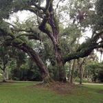 Loxahatchee River Battlefield Park