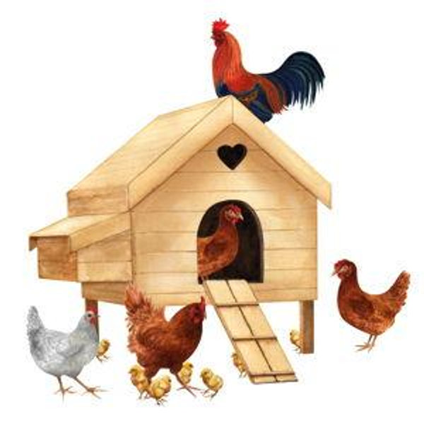 Chicken Coop Fund