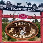 Sugarplum zoo