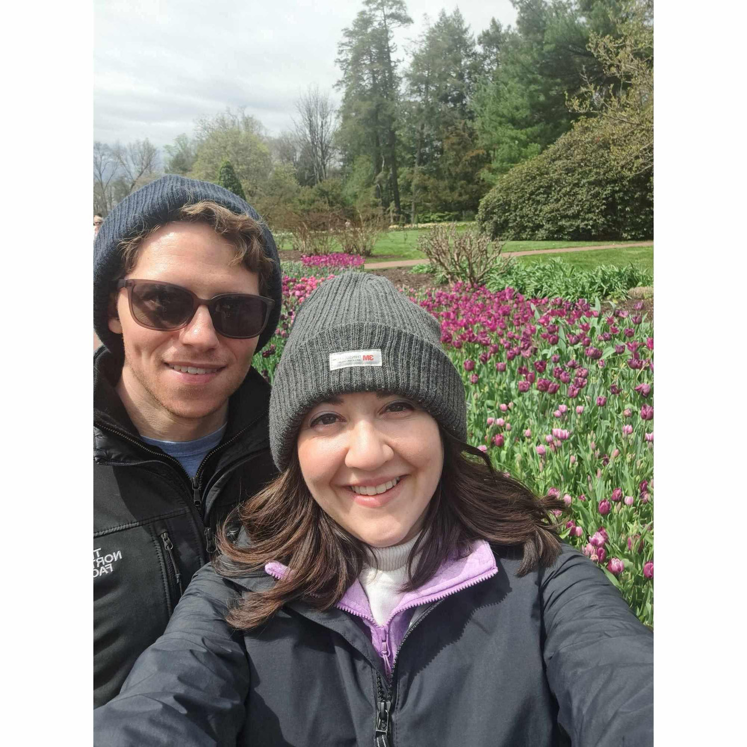 Tulips at Longwood Gardens.