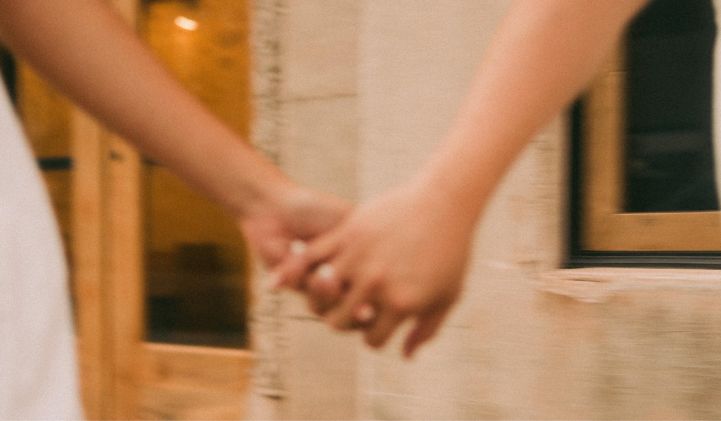 The Wedding Website of Valeria López and Josué Díaz