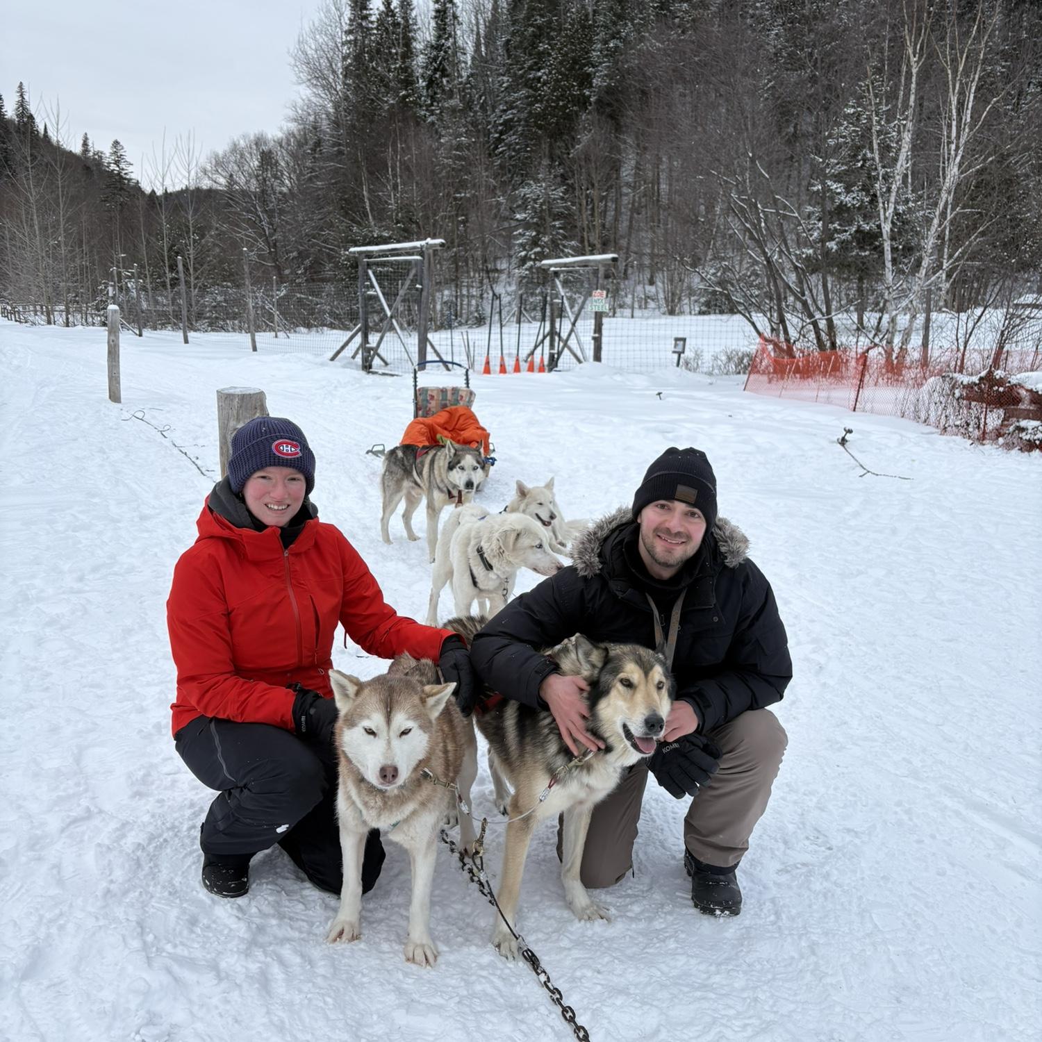 Dog sledding activity