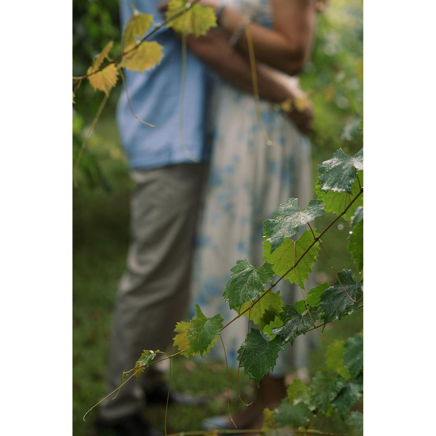 Our engagement photos!