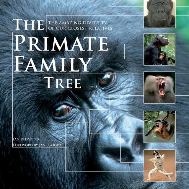 The Primate Family Tree: The Amazing Diversity of Our Closest Relatives