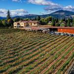 Marchesi Vineyards & Winery