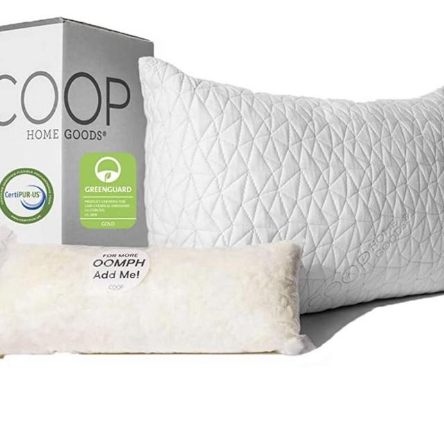 Coop Home Goods Pillows