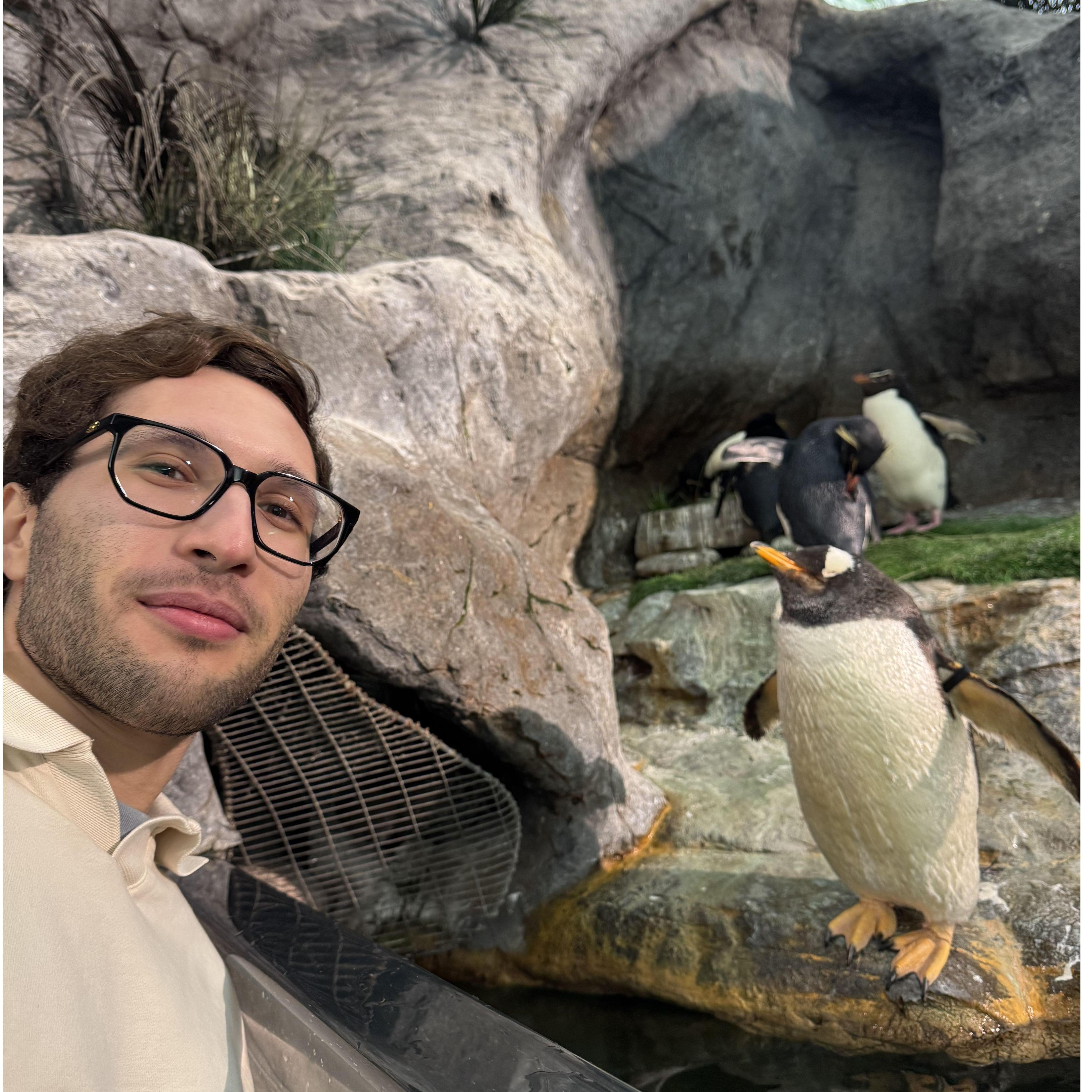 Gustavo at the STL Zoo 2025