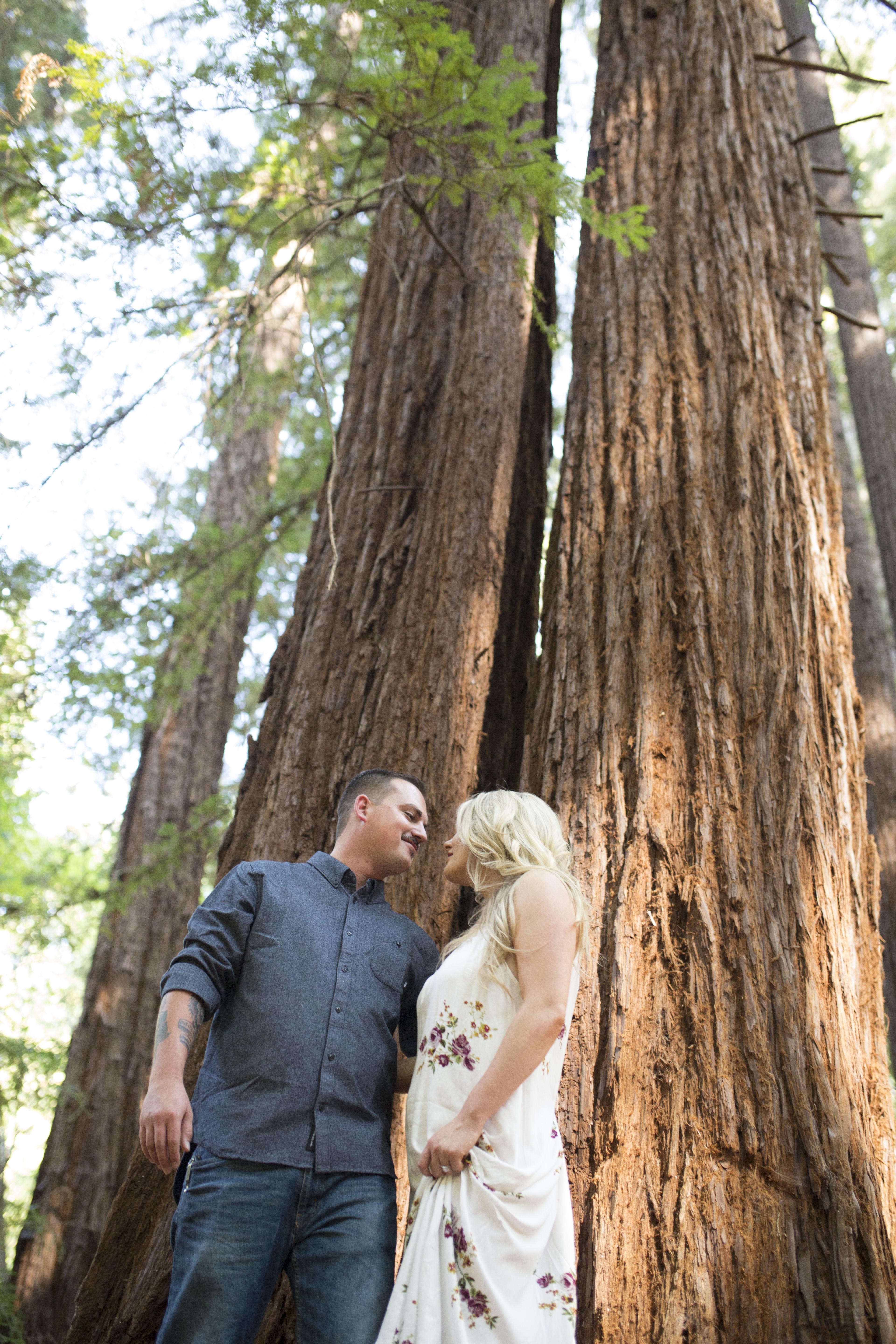 The Wedding Website of Lindsey Berkebile and Jake Burner