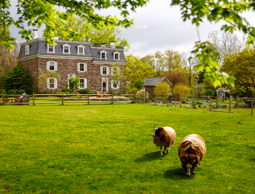 The Wedding Website of Lyndsey Wilson and Connor Barbella