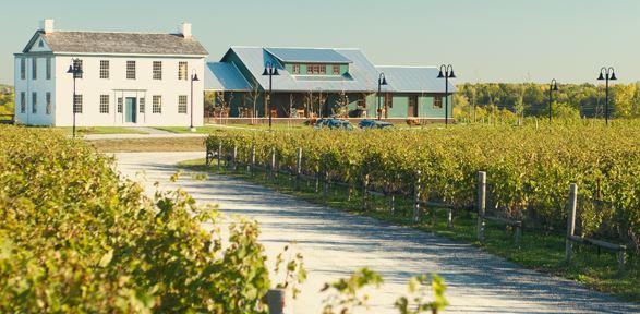 The Wedding Website of Alyssa Corcoran and Jarrod Singh