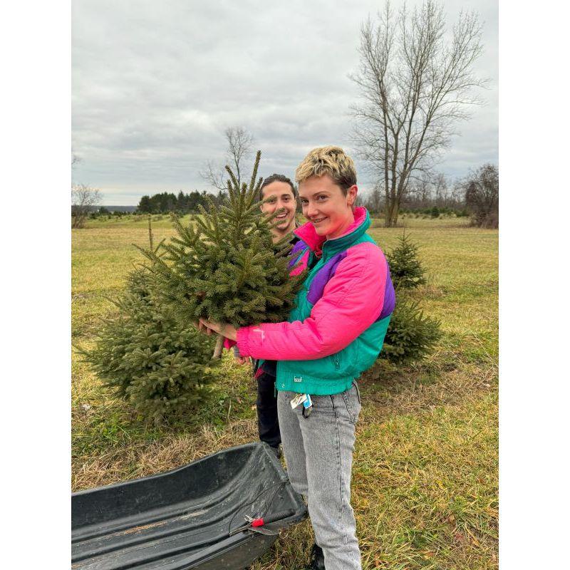 Jacq's little tree!