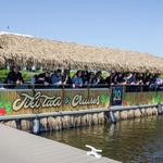 Tiki Taxi and Cruises