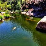 Malibu Creek State Park