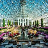 Como Park Zoo & Conservatory