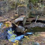 Kennedy - Dells County Park