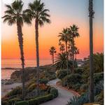 Visit Laguna's Beaches