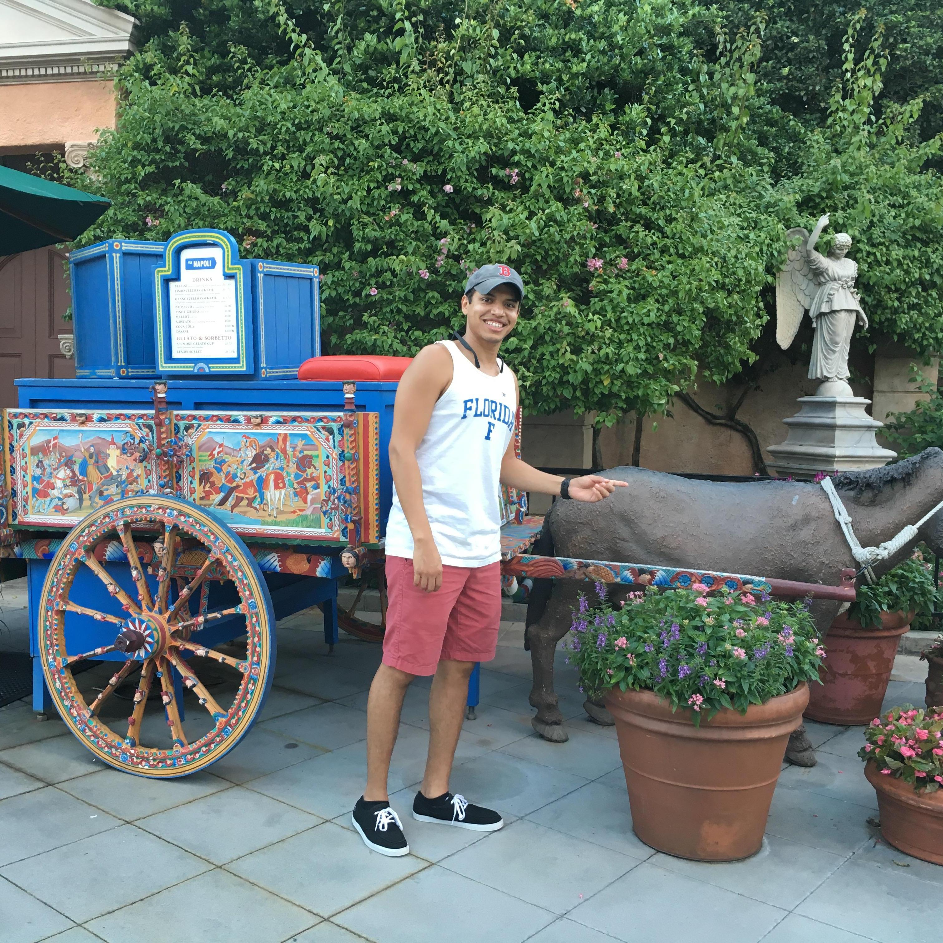 We love traveling to Italy, Disney World. We can't wait for the real thing on our Honeymoon!