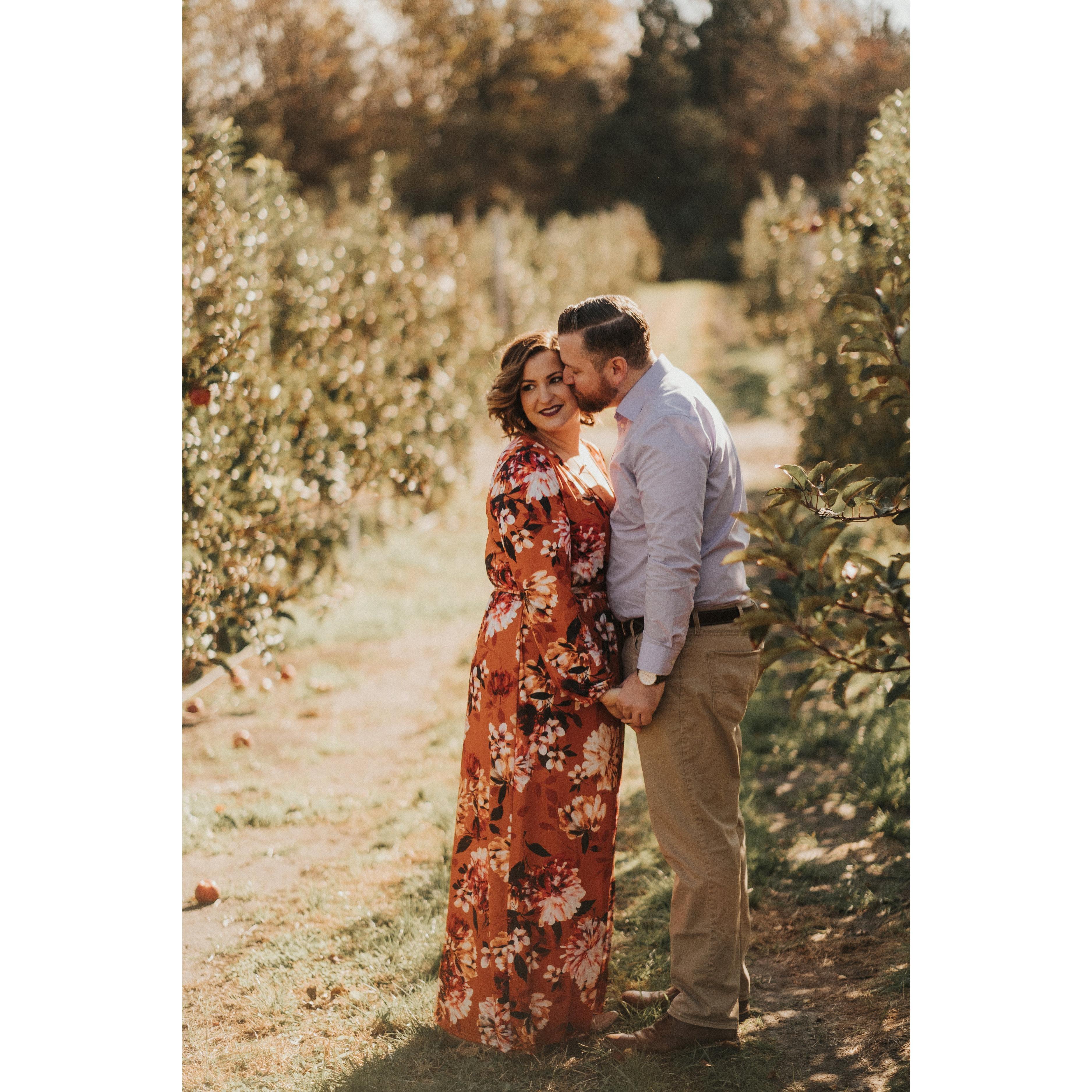 Apple Orchards, Locust Farm
