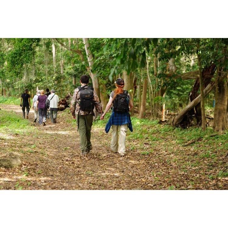 Our first birding trip to Colombia! (January 2022)