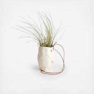 Faceted Hanging Planter with Air Plant
