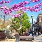 Shopping on Main Street