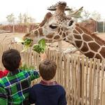 El Paso Zoo