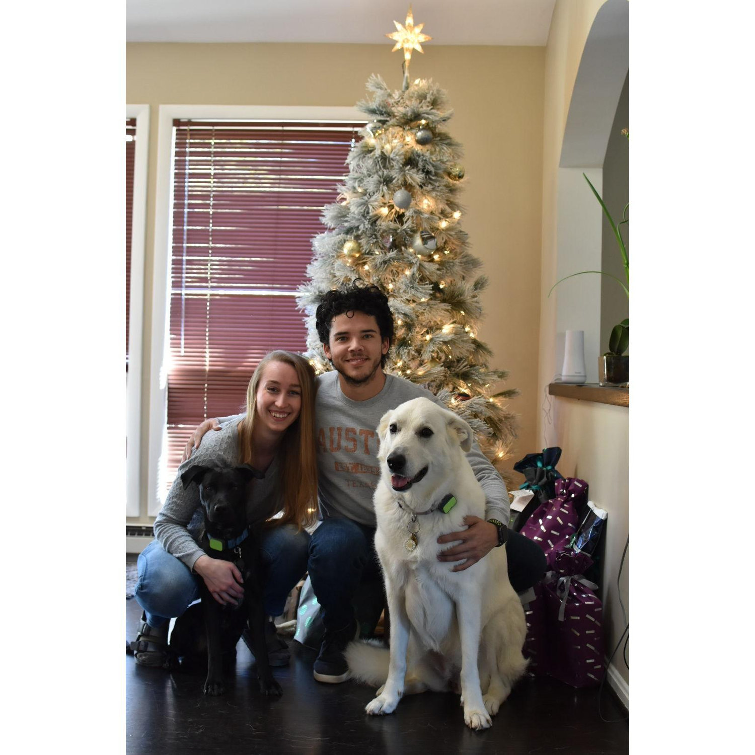 First family photo with Blue, our newly adopted feral junkyard dog from Texas (he’s the adorable black blob on the bottom left).
