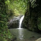 Maunawili Falls Hike