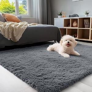 Area Rugs for Living Room Bedroom