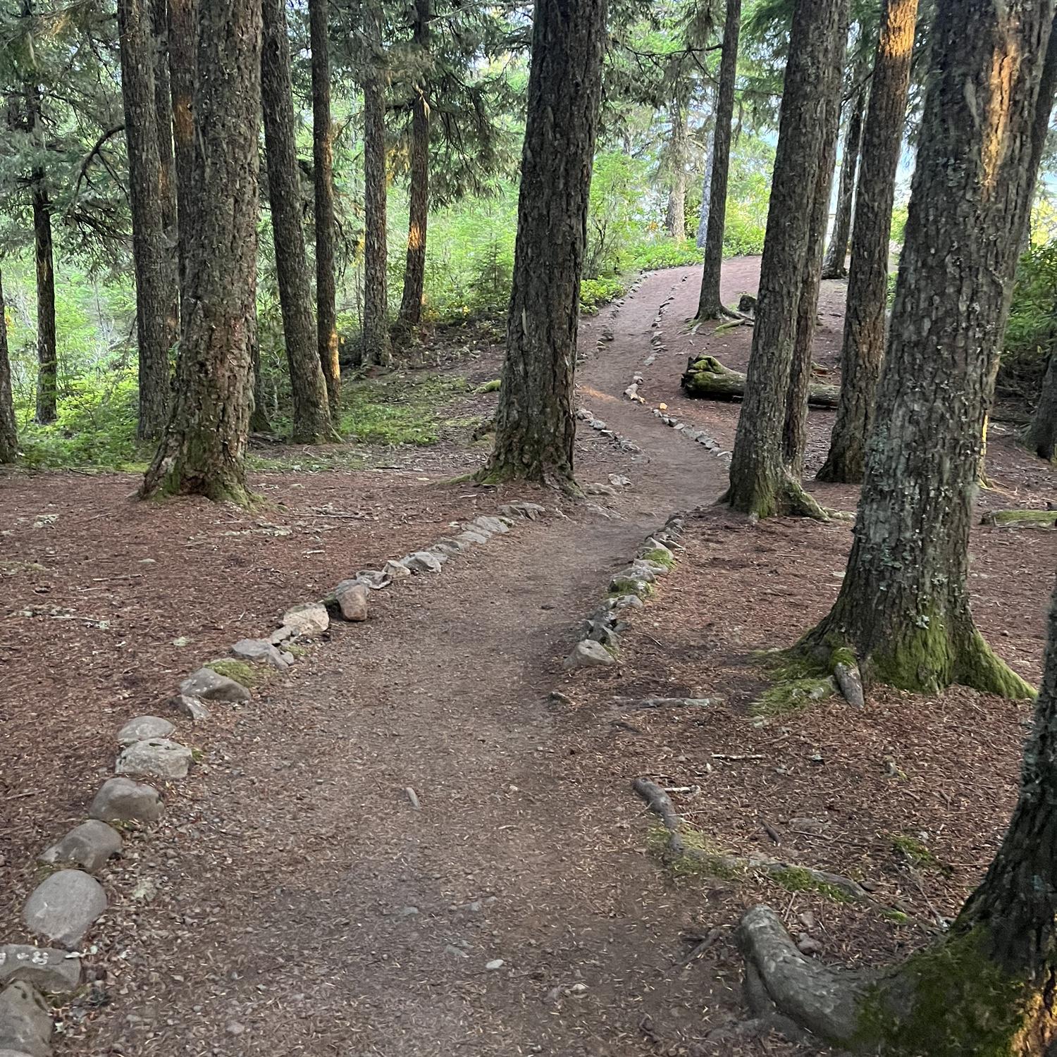This is the walking path to the ceremony site.