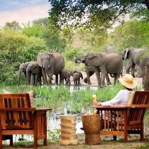 South African Safari | Spa for Two
