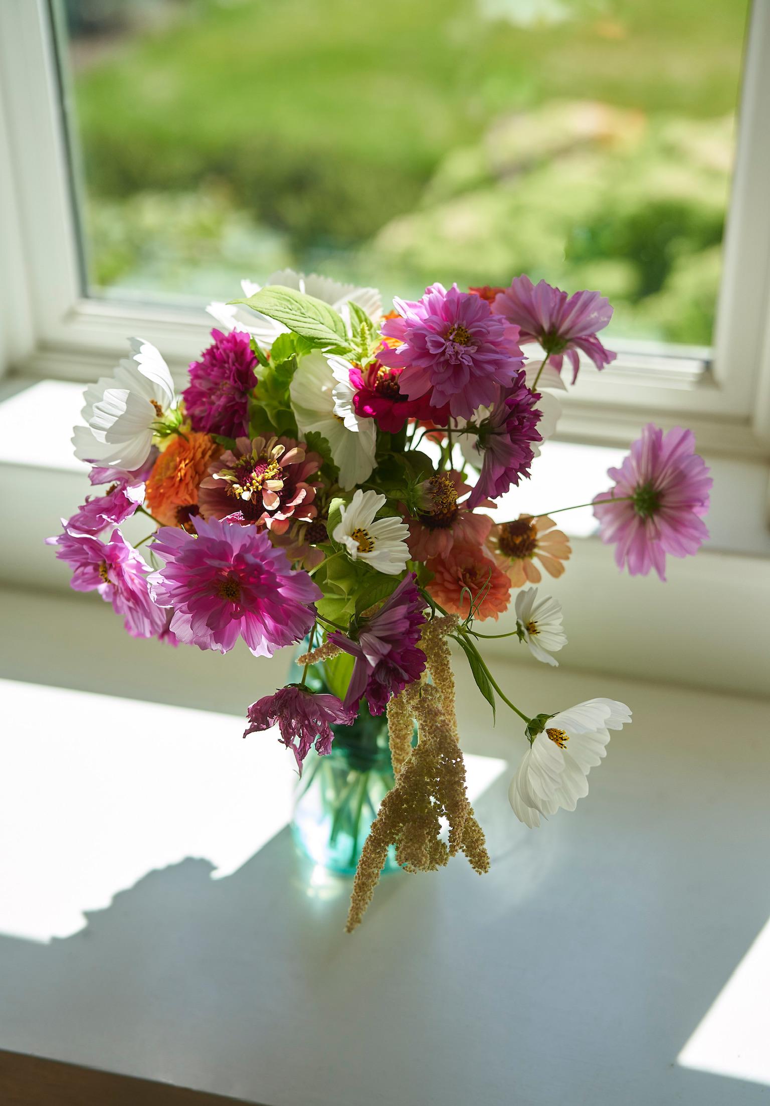 The Wedding Website of Isabel Ferguson and Tyler Cox