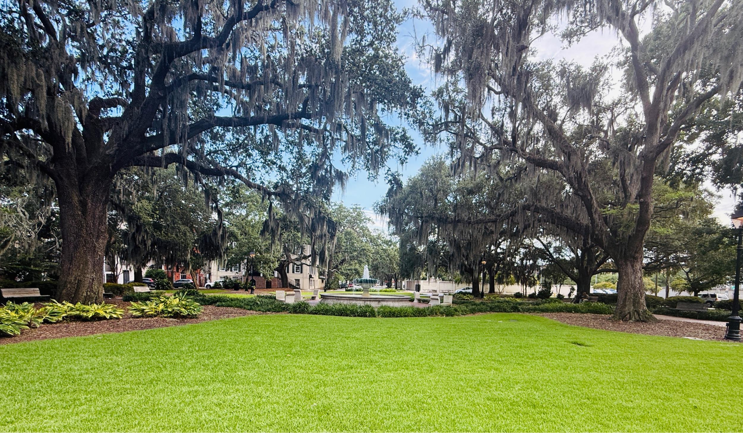 The Wedding Website of Kara Netherton and Chris Dial